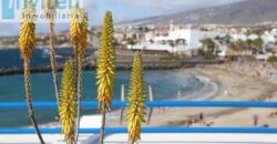 INV SUR – SAN EUGENIO OCEAN VIEWS