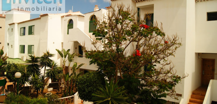 COSTA DEL SILENCIO – ALONDRAS PARK